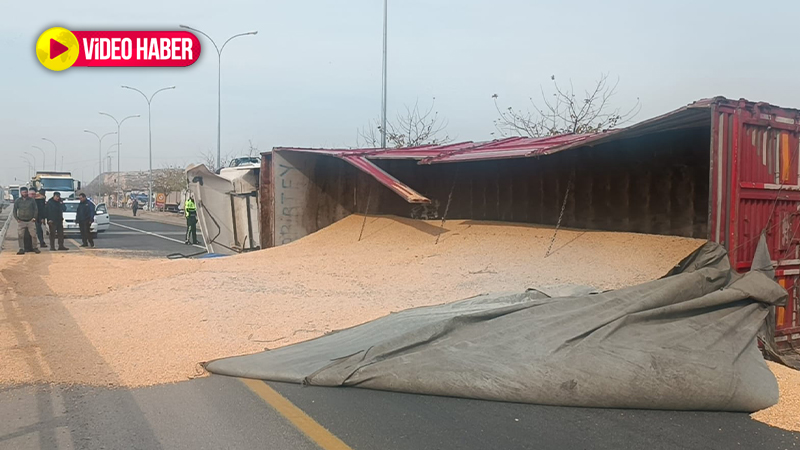 Karaköprü'de mısır yüklü tır devrildi